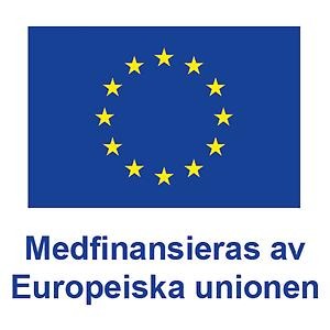 Mindre-storlek-medfinansieras-av-europeiska-u.jpg